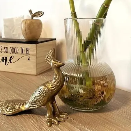 Peacock * Năvodari